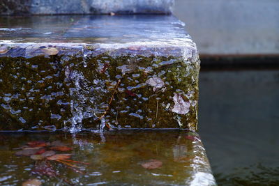 Close-up of water in park