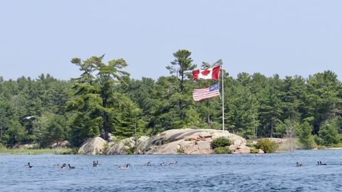 Flags waving at lakeshore against trees