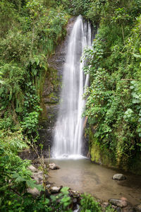 View of waterfall in forest