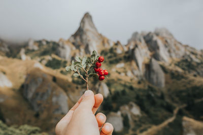 Cropped image of hand holding strawberry against blurred background