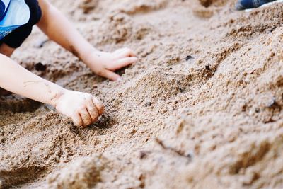 Low section of person on sand at beach