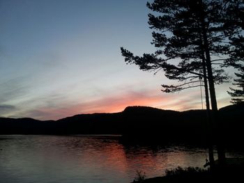 Reflection of silhouette trees in lake