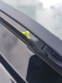 High angle view of cat on car against sky