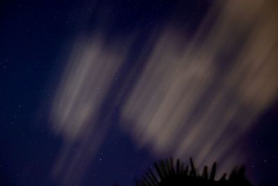 Low angle view of silhouette stars in sky at night