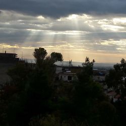 Houses and trees against dramatic sky