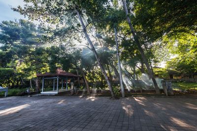 Built structure against trees