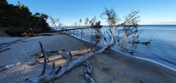 Scenic view of sea against sky during winter