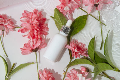 Close-up of flowers on table