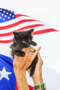 Cropped image of hand holding flag against white background