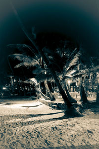 Scenic view of snow covered field by sea at night