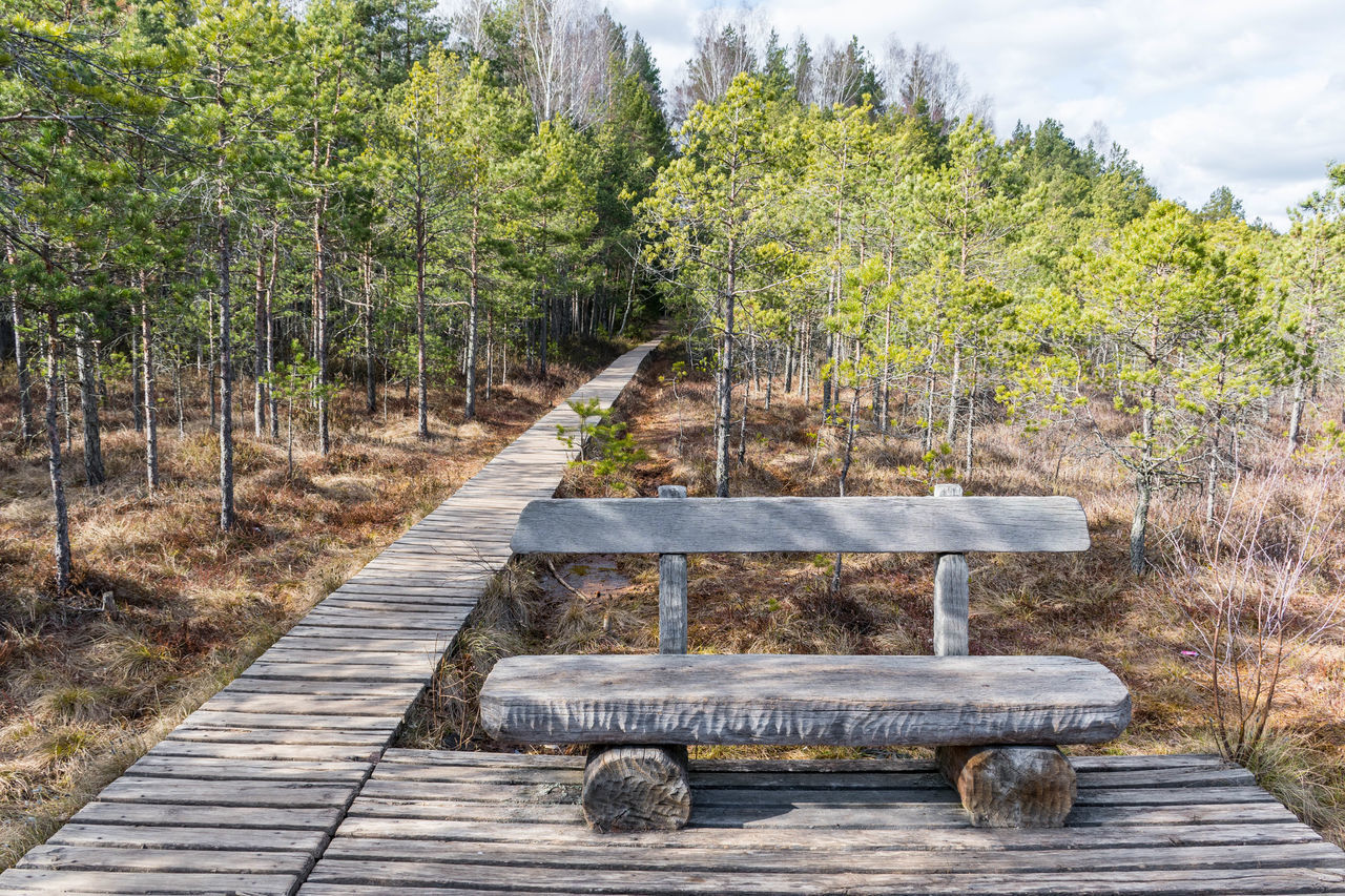 EMPTY BENCH IN PARK