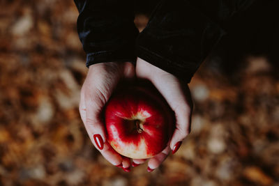 Witch woman in black offers red apple as symbol of temptation, poison. fairy tale, white snow wizard