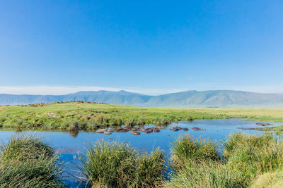 Scenic view of lake against blue sky