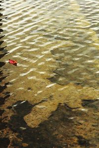 High angle view of woman in water