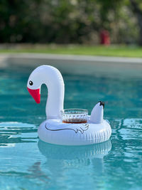 Funny inflatable in the shape of swan floating with a drink on a pool water