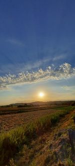 Scenic view of field against sky during sunset