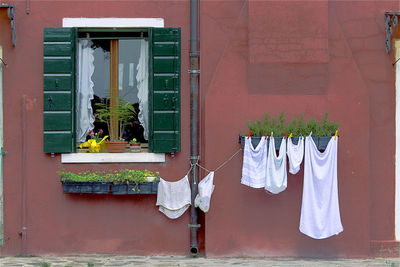 Potted plant against building