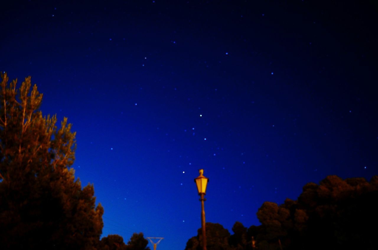 night, low angle view, tree, star - space, astronomy, blue, tranquility, beauty in nature, scenics, tranquil scene, moon, star field, clear sky, nature, sky, star, idyllic, copy space, galaxy, outdoors