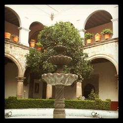 View of formal garden