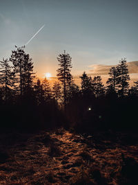Silhouette trees against sky during sunset