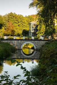 Arch bridge over river against trees during autumn