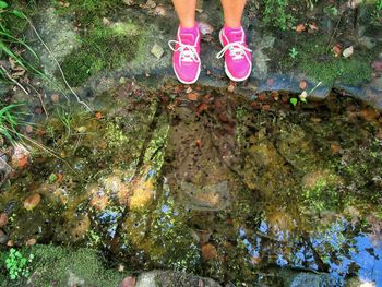 Low section of person standing on puddle