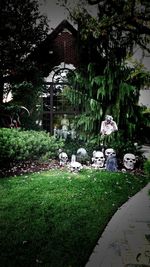 View of plants against building