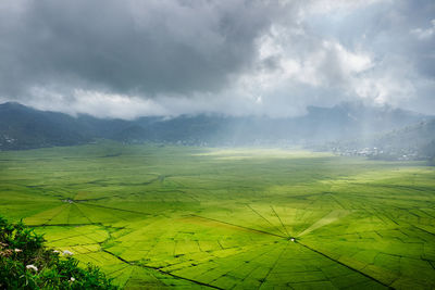 Aerial view of agricultural field against sky