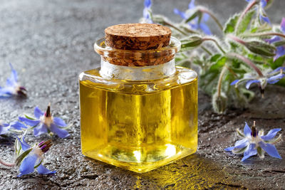 Close-up of yellow flower in glass bottle on table