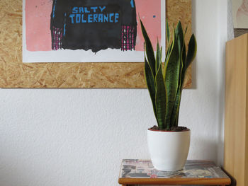 Close-up of potted plant in vase