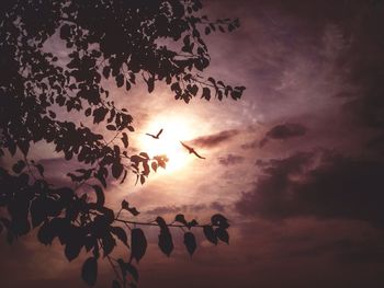 Low angle view of silhouette trees against sky during sunset