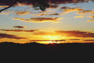 Scenic view of silhouette trees against orange sky