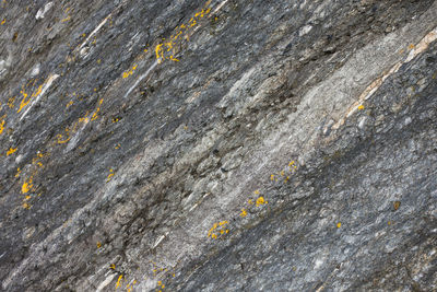 Full frame shot of rock