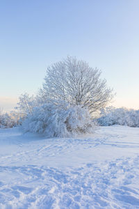 Snow on field against clear sky during winter