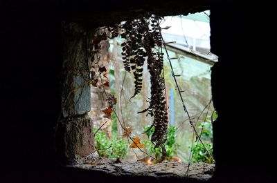 Close-up of window hanging