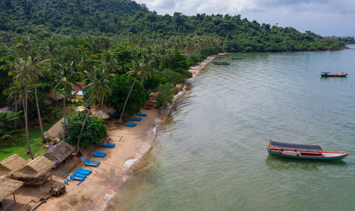 High angle view of river amidst trees