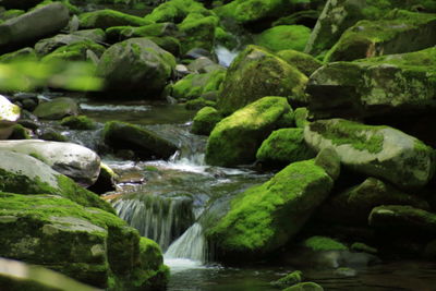 River flowing through rocks in forest