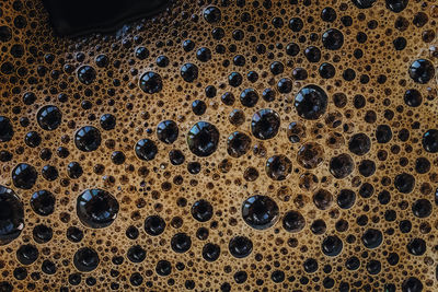 Macro shot of espresso foam. coffee background. close-up of bubbles