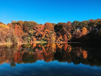 Reflection of trees in lake against clear sky