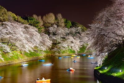 Scenic view of lake against trees