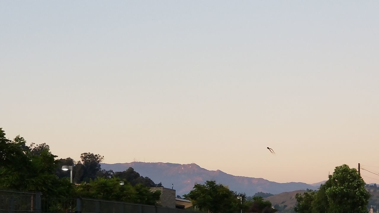 BIRDS FLYING OVER MOUNTAINS AGAINST CLEAR SKY