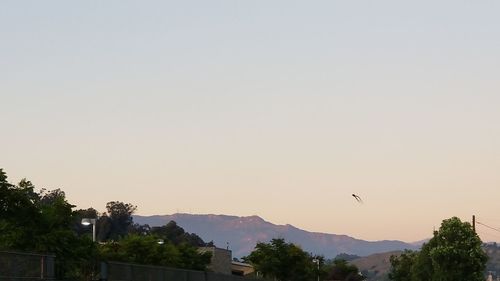 Bird flying over mountains against clear sky