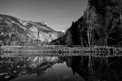 Reflection of trees in lake