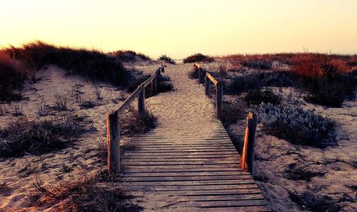 Footpath amidst trees against clear sky during sunset