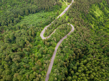 Aerial view of curve road on the mountain with green forest