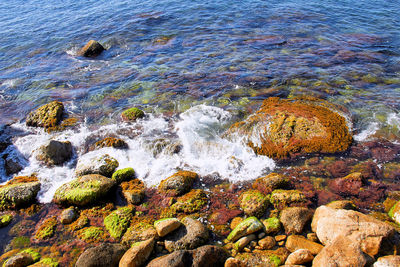 High angle view of rocks in sea