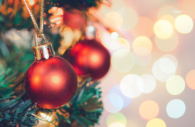 Close-up of illuminated christmas tree