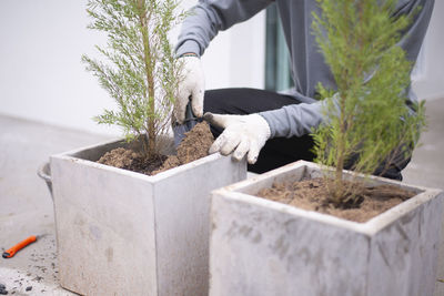 Rear view of man standing by potted plant