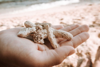 Close-up of hand holding sand