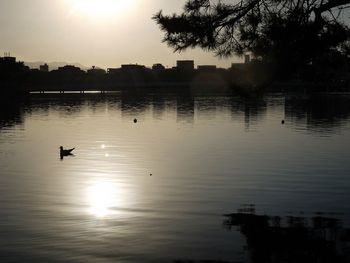 Reflection of trees in water at sunset